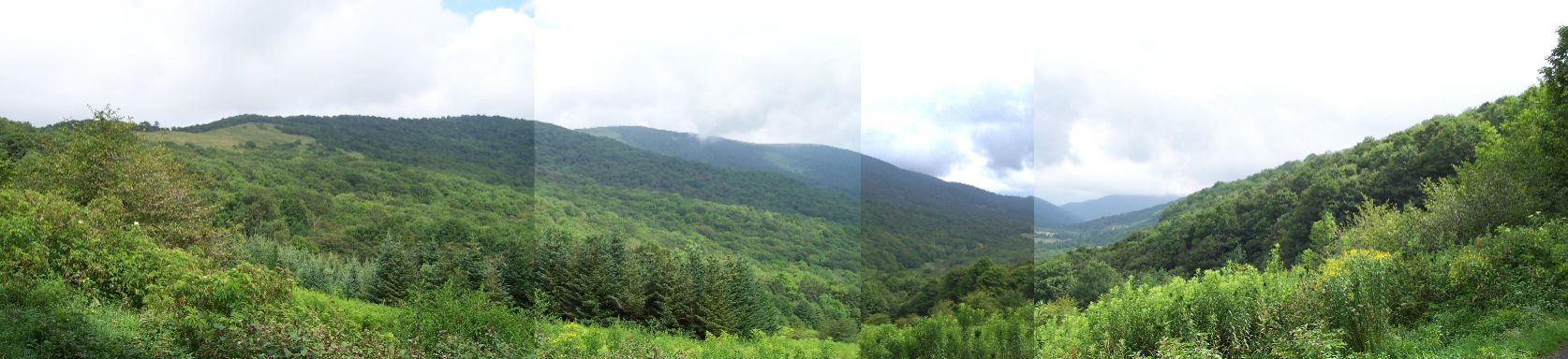 View from Overmountain Shelter