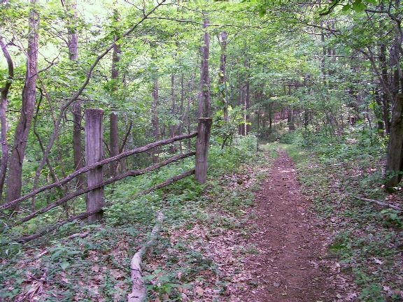 trail north of highway 421